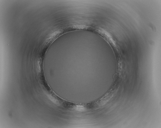 X0000115390114200911171504