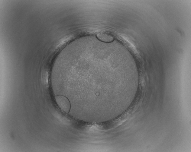 X0000115390115200911171504