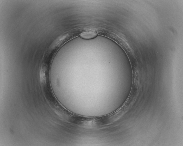 X0000115390116200911171504