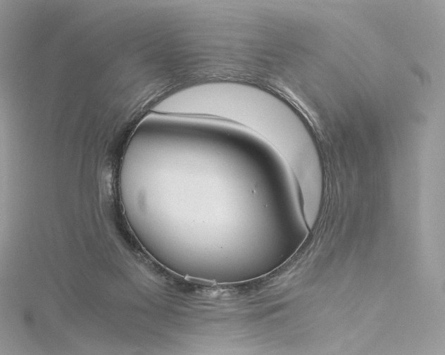 X0000115390117200911171504