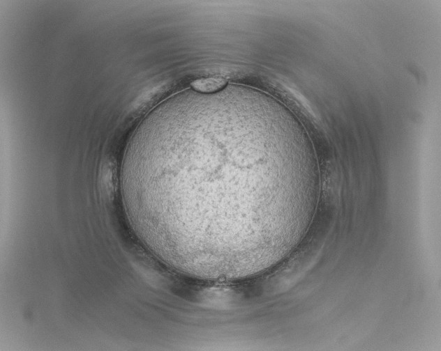 X0000115390119200911171504