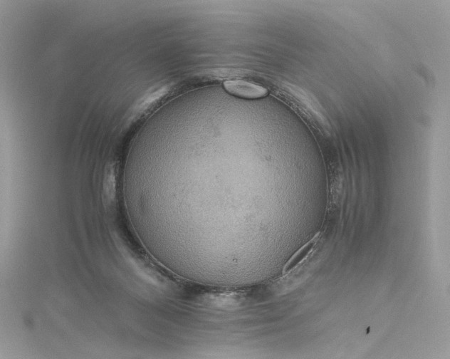 X0000115390120200911171504