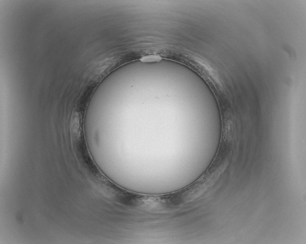 X0000115390121200911171504