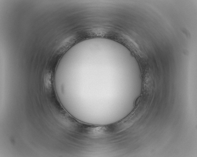 X0000115390122200911171504