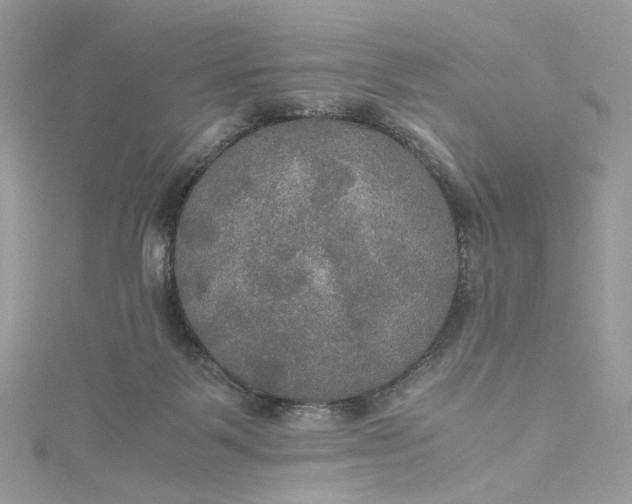 X0000115390123200911171504