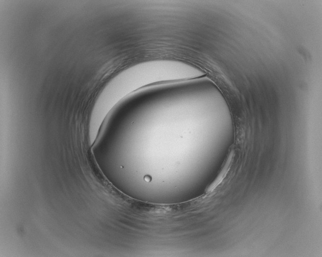 X0000115390124200911171504