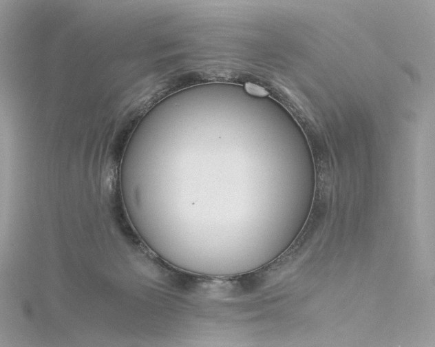 X0000115390125200911171504