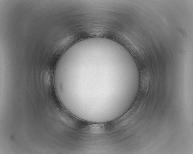 X0000115390126200911171504