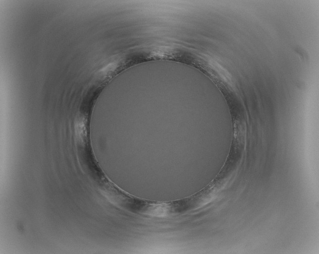 X0000115390127200911171504