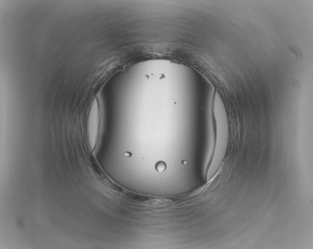 X0000115390128200911171504