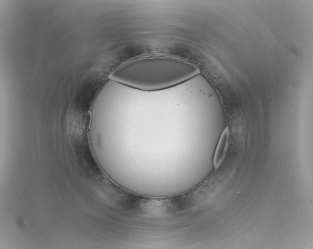 X0000115390129200911171504