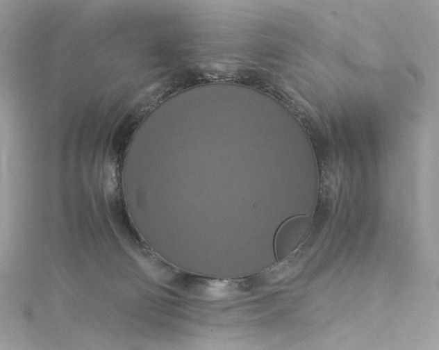 X0000115390130200911171504