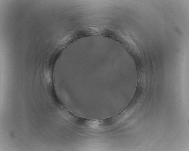 X0000115390131200911171504