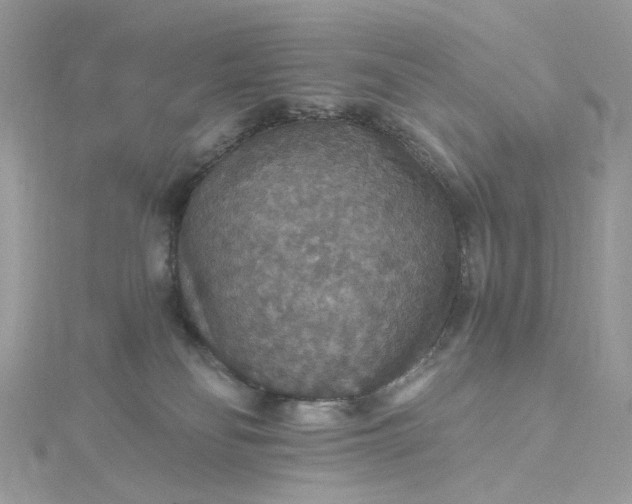 X0000115390134200911171504