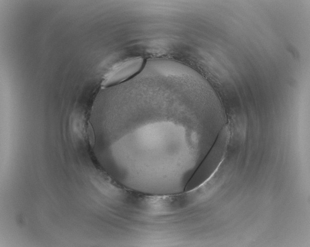 X0000115390136200911171504