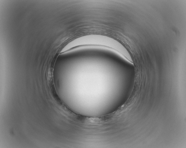 X0000115390137200911171504