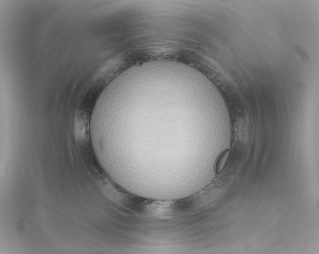 X0000115390138200911171504