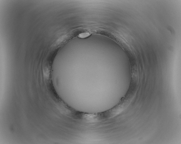 X0000115390139200911171504