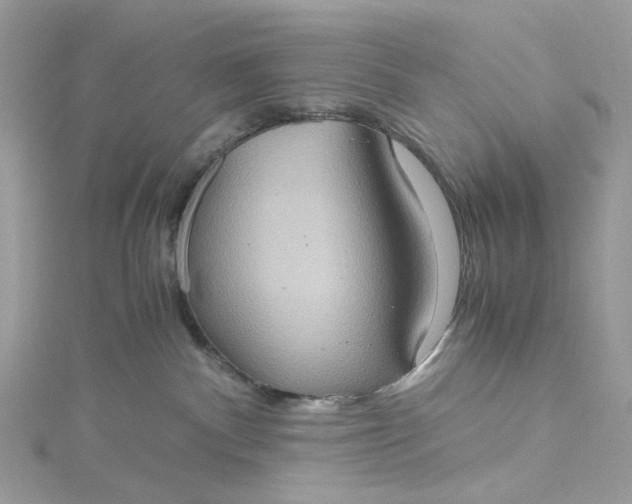 X0000115390140200911171504