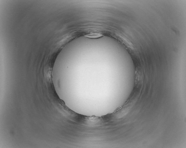 X0000115390141200911171504