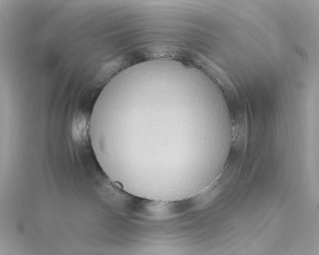 X0000115390142200911171504