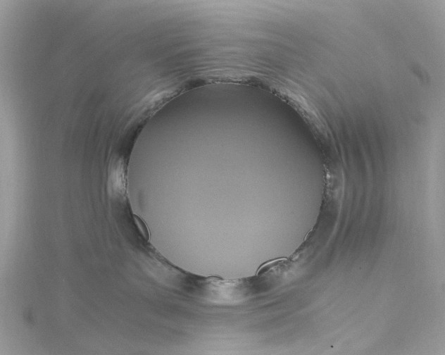 X0000115390143200911171504