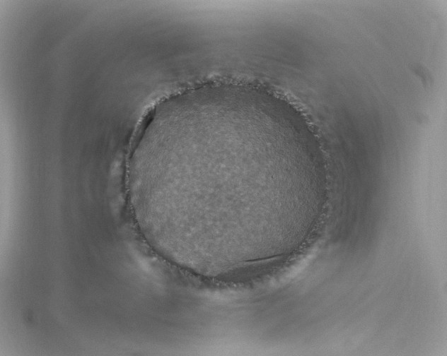 X0000115390144200911171504