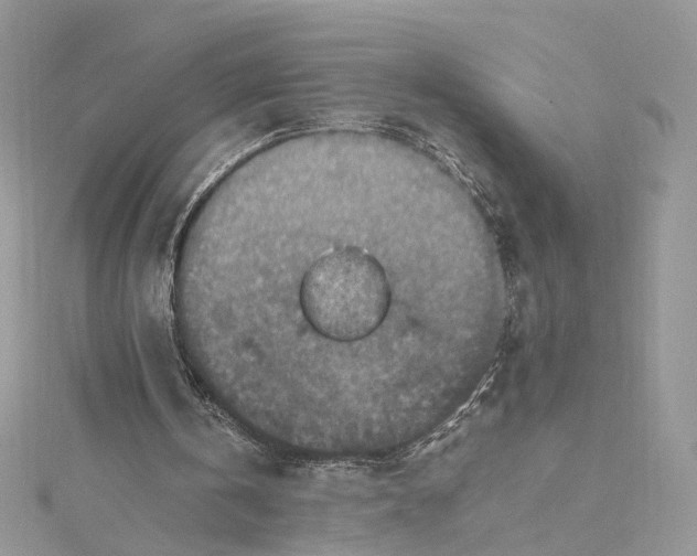 X0000115390146200911171503