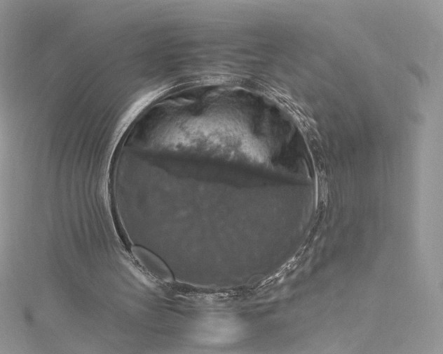 X0000115390147200911171503