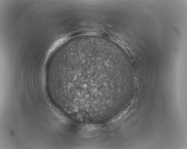 X0000115390149200911171503