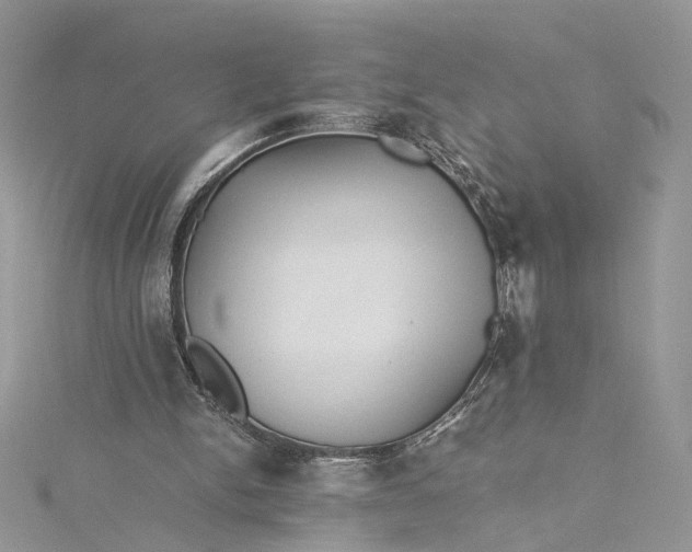 X0000115390150200911171503