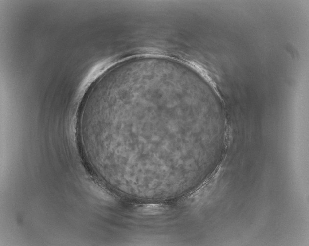 X0000115390151200911171503