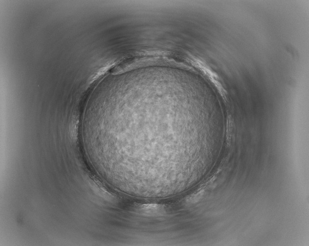 X0000115390153200911171503