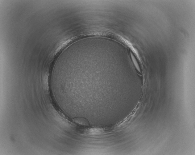 X0000115390154200911171504