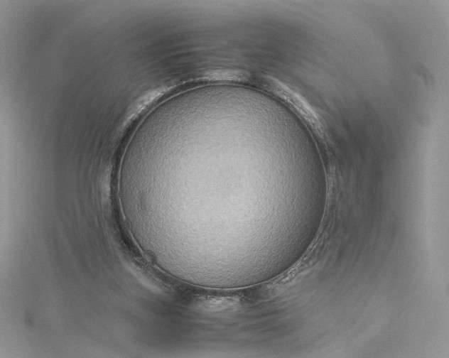 X0000115390155200911171504