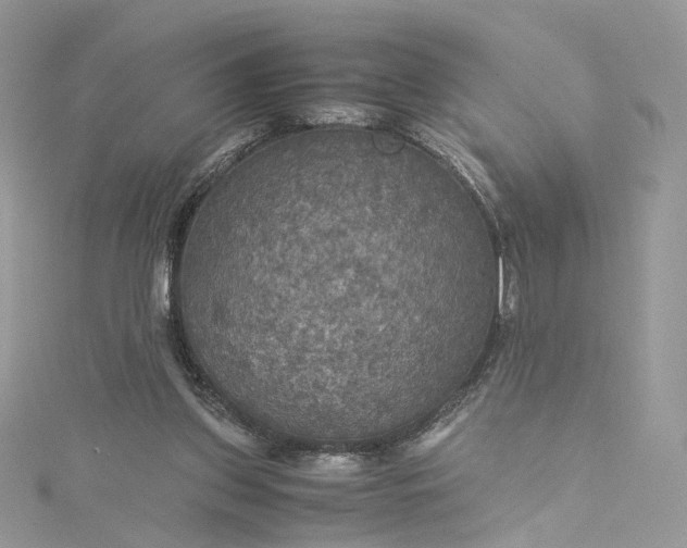 X0000115390157200911171504