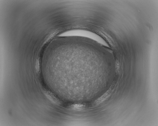 X0000115390158200911171504