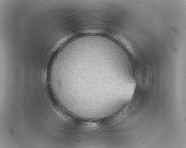 X0000115390159200911171504