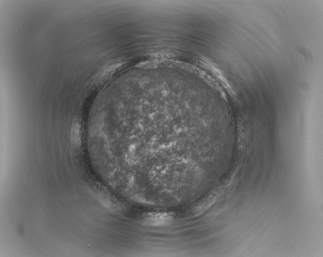 X0000115390161200911171504