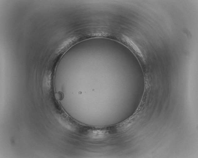 X0000115390163200911171504