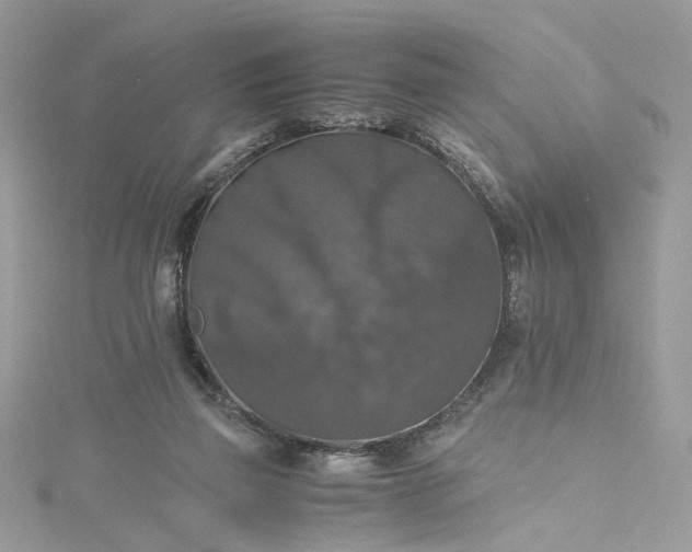 X0000115390165200911171504