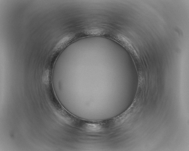 X0000115390167200911171504