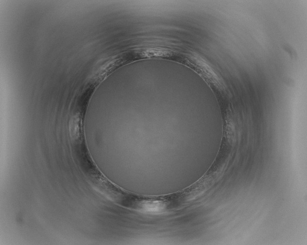 X0000115390169200911171504