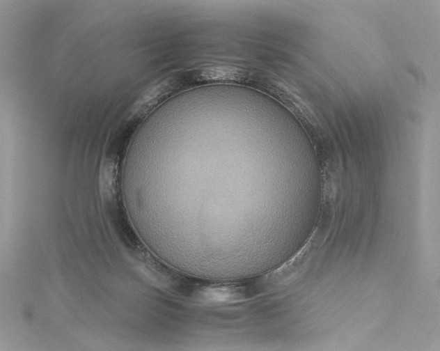 X0000115390171200911171504