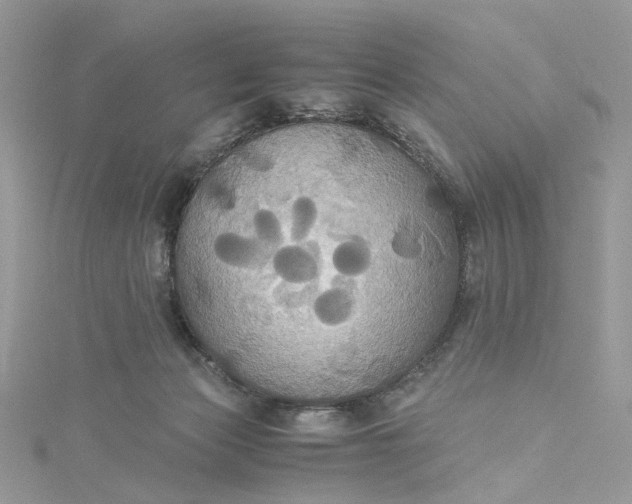 X0000115390173200911171504