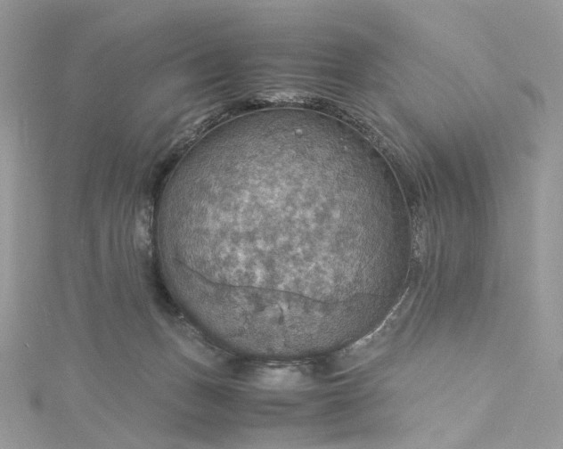 X0000115390175200911171504