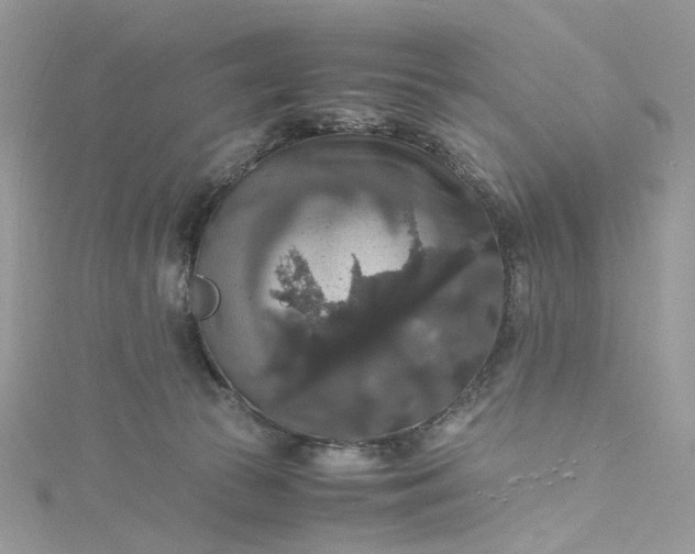 X0000115390177200911171504