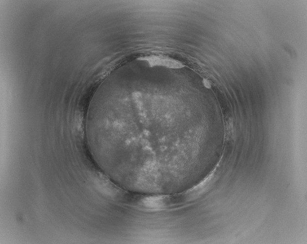 X0000115390178200911171504