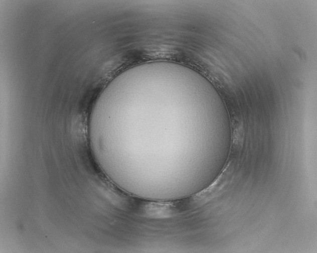 X0000115390179200911171504