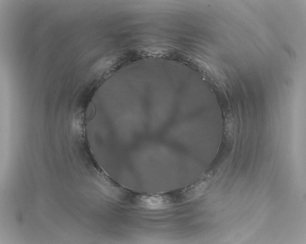 X0000115390181200911171504